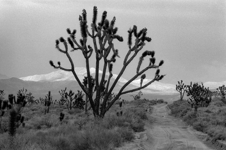 detours-2-overson-mojave-scenic-from-detours88