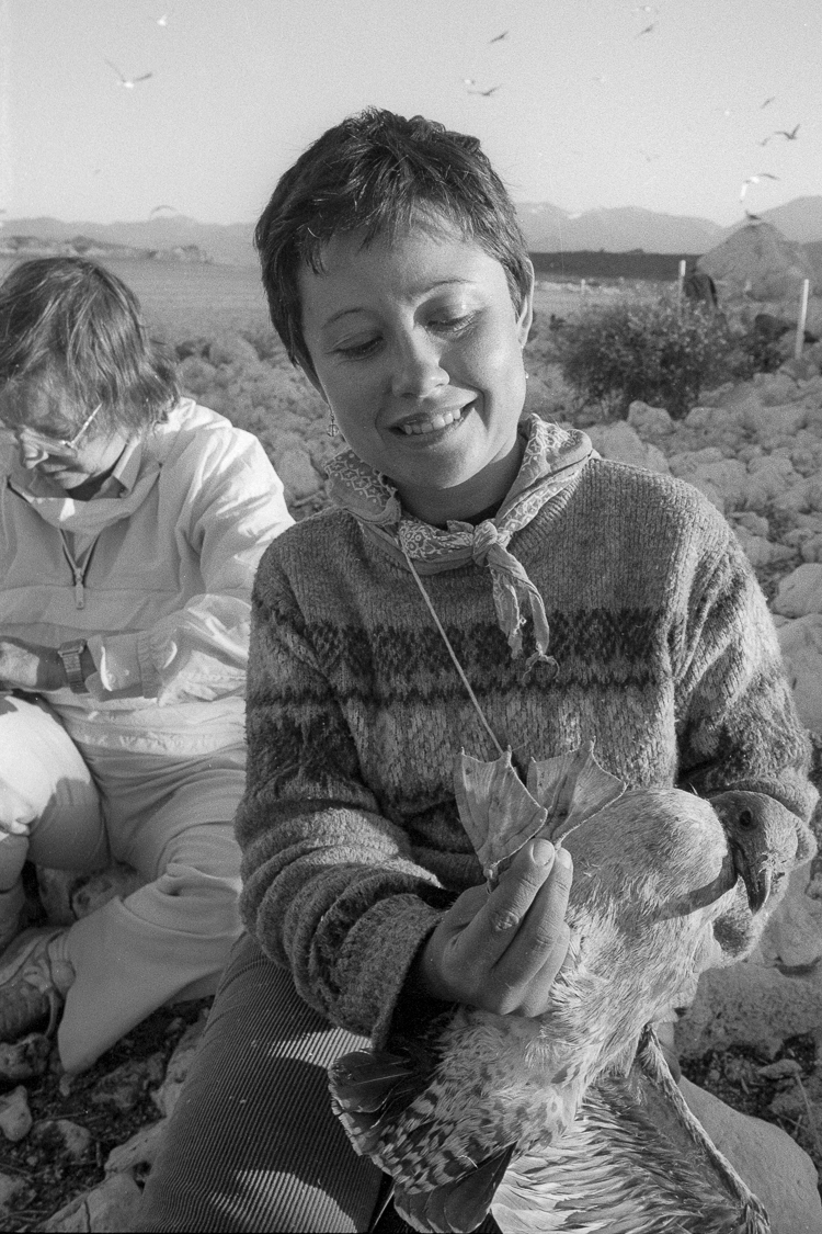 detours-8-mono-sht1-31